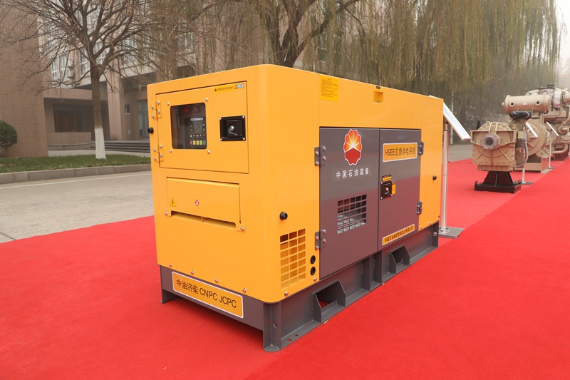 HSEE Gesi Asilia Genset